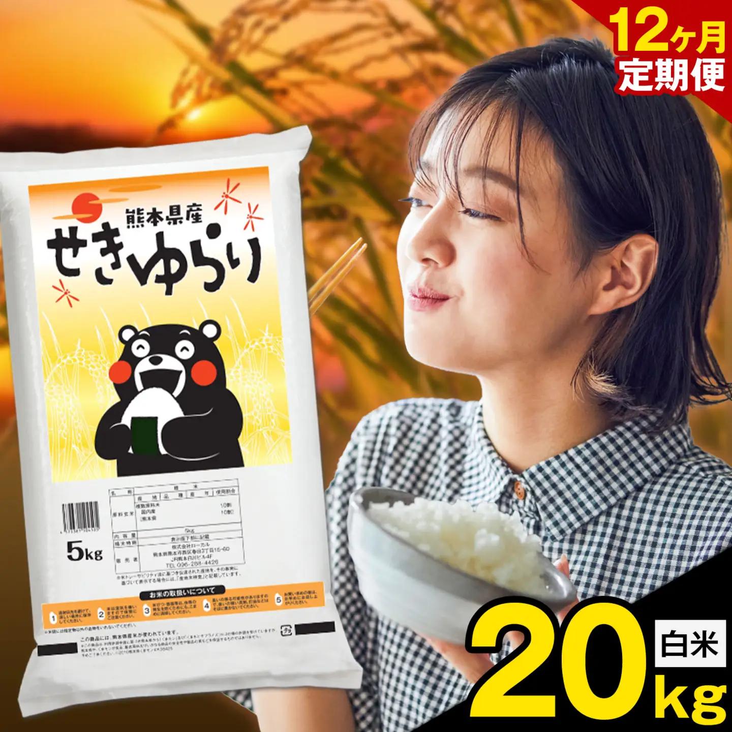 白米 せきゆらり 20kg 12ヶ月 定期便 熊本県産 国産 白米