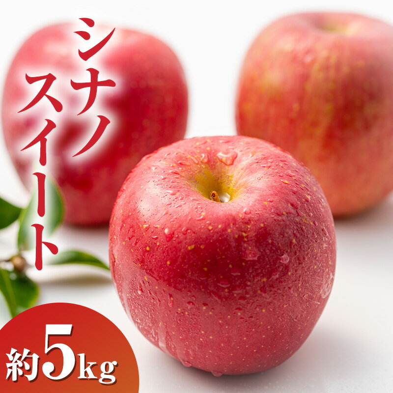 【ふるさと納税】シナノスイート約5kg 13～18玉 りんご 長野県産　お届け：2025年10月上旬～10月下旬まで