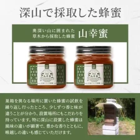 【数量限定】国産 生はちみつ 日本みつばち【非加熱・無添加の生蜂蜜】300g×2 B3-115【配送不可地域：離島】【1752142】