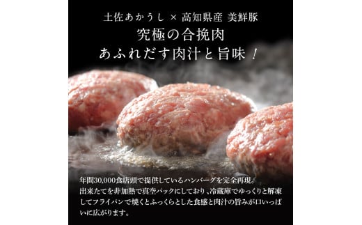 ハンバーグとかぼちゃポタージュのセット（各3食）南瓜 かぼちゃ カボチャ スープ ポタージュ 土佐あかうし 四万十ポーク お店の味 ごはん 惣菜 3食分 レトルト 美味しい おいしい 国産 高知県産_