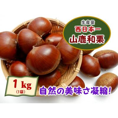ふるさと納税 山鹿市 熊本県山鹿和栗(1kg)