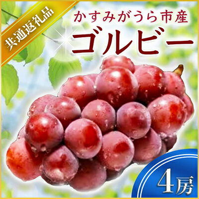 【ふるさと納税】【2025年9月上旬より順次発送予定】ゴルビー　4房(県内共通返礼品:かすみがうら市産)【配送不可地域：離島・沖縄県】 (BR058)