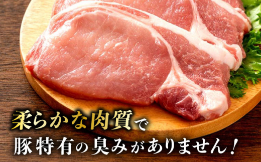 【選べる！冷凍配送 冷蔵配送】一貴山豚 ロースとんかつ・トンテキ用 計480g(120g×4枚) 糸島市 / いきさん牧場 豚肉 [AGB030]