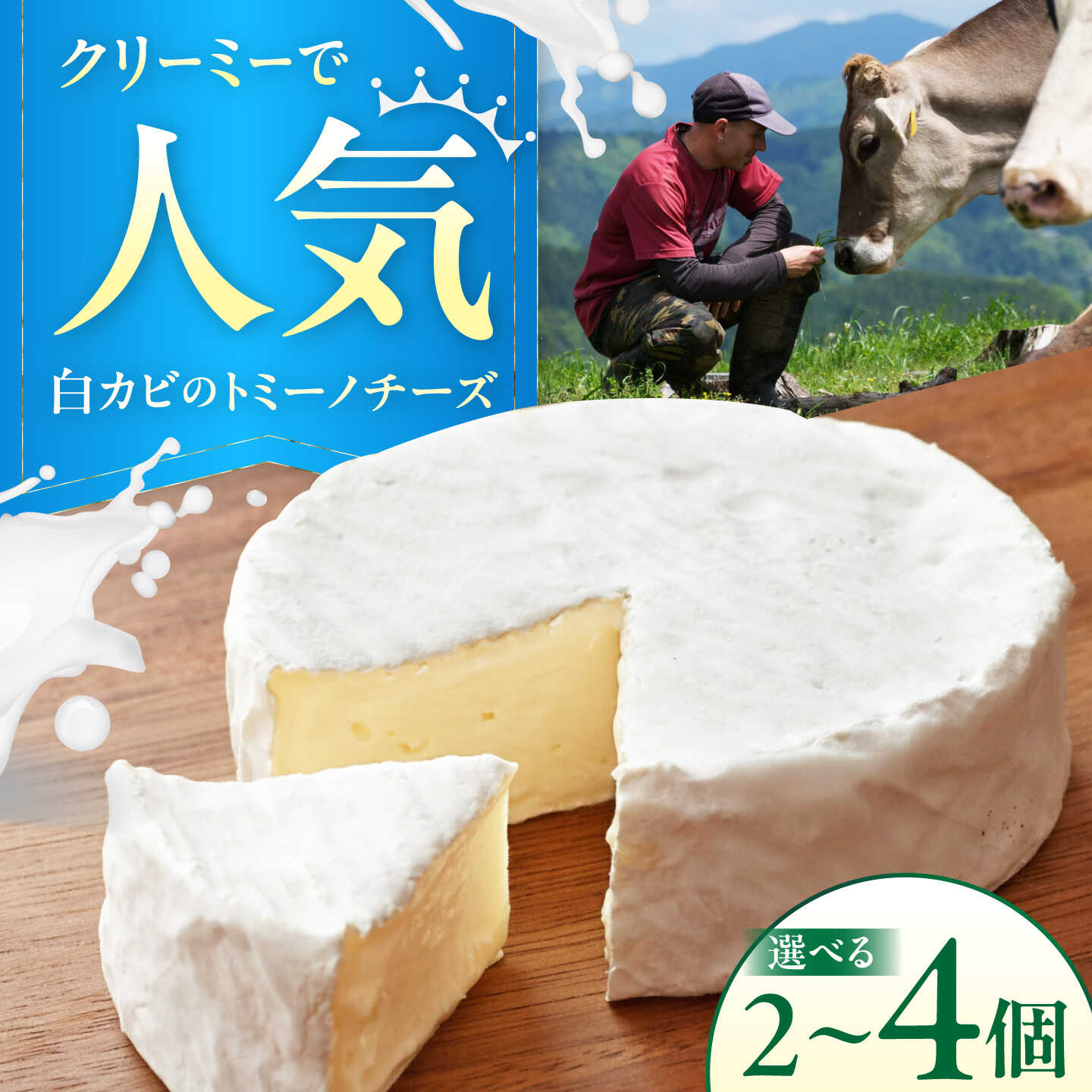 【ふるさと納税】【個数が選べる】山地放牧酪農ミルクのトミーノチーズ（白カビタイプ）2個・3個・4個セット/チーズ トミーノチーズ 愛媛県 伝統製法 おつまみ 乳製品/株式会社醍醐[BKAH003]