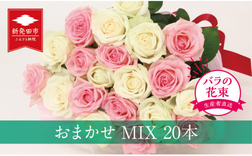 生産者直送！バラの花束 お任せMIX20本 【 バラ 生花 花束 フラワーアレンジメント 記念日 母の日 父の日 ギフト プレゼント 花 20本 MIX 】　G01_02