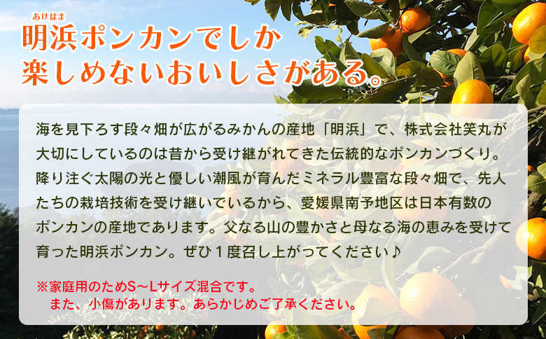 【先行予約】＜吉田ポンカン 家庭用 約5kg＞ 果物 くだもの フルーツ みかん ミカン 柑橘 吉田ぽんかん よしだぽんかん ヨシダポンカン ぽんかん 訳あり ご自宅用 特産品 株式会社笑丸 愛媛県 西予市