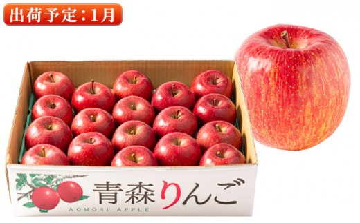1月  特A 濃厚サンふじ約5kg　糖度13度以上【青森りんご・マルコウアップル】 果物類 果物 フルーツ