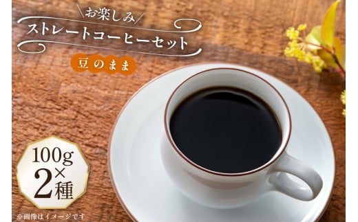 コーヒー豆 100g 2種 (豆のまま) 飲み比べセット [自家焙煎珈琲ぴちかーと 福岡県 筑紫野市 21761244] コーヒー 珈琲 coffee セット ストレートコーヒー