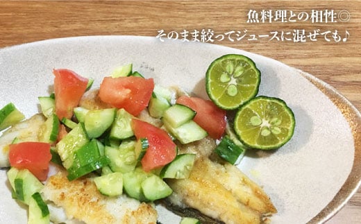 【TVで話題！】【先行予約】青切り シークワーサー 約2kg（110〜150個） ＜広津農園＞ [CBN011]