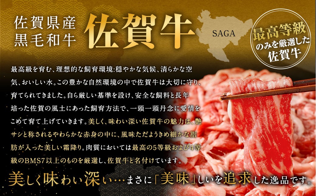 博多和牛ステーキ（モモ）10枚＋佐賀牛切り落とし400g