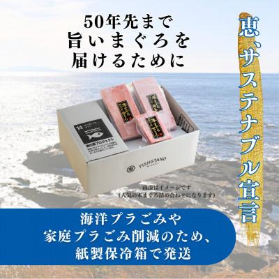 ふるさと納税 三浦市 三崎まぐろ　赤身切り落とし　合計1kgセット |  | 02