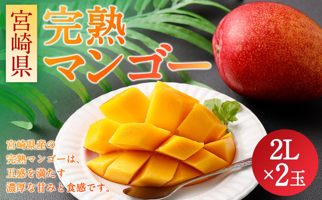 ＜宮崎県 完熟マンゴー2L×2玉 700g＞2026年4月上旬〜7月上旬までに順次出荷 マンゴー 完熟 果物 くだもの フルーツ 高鍋町