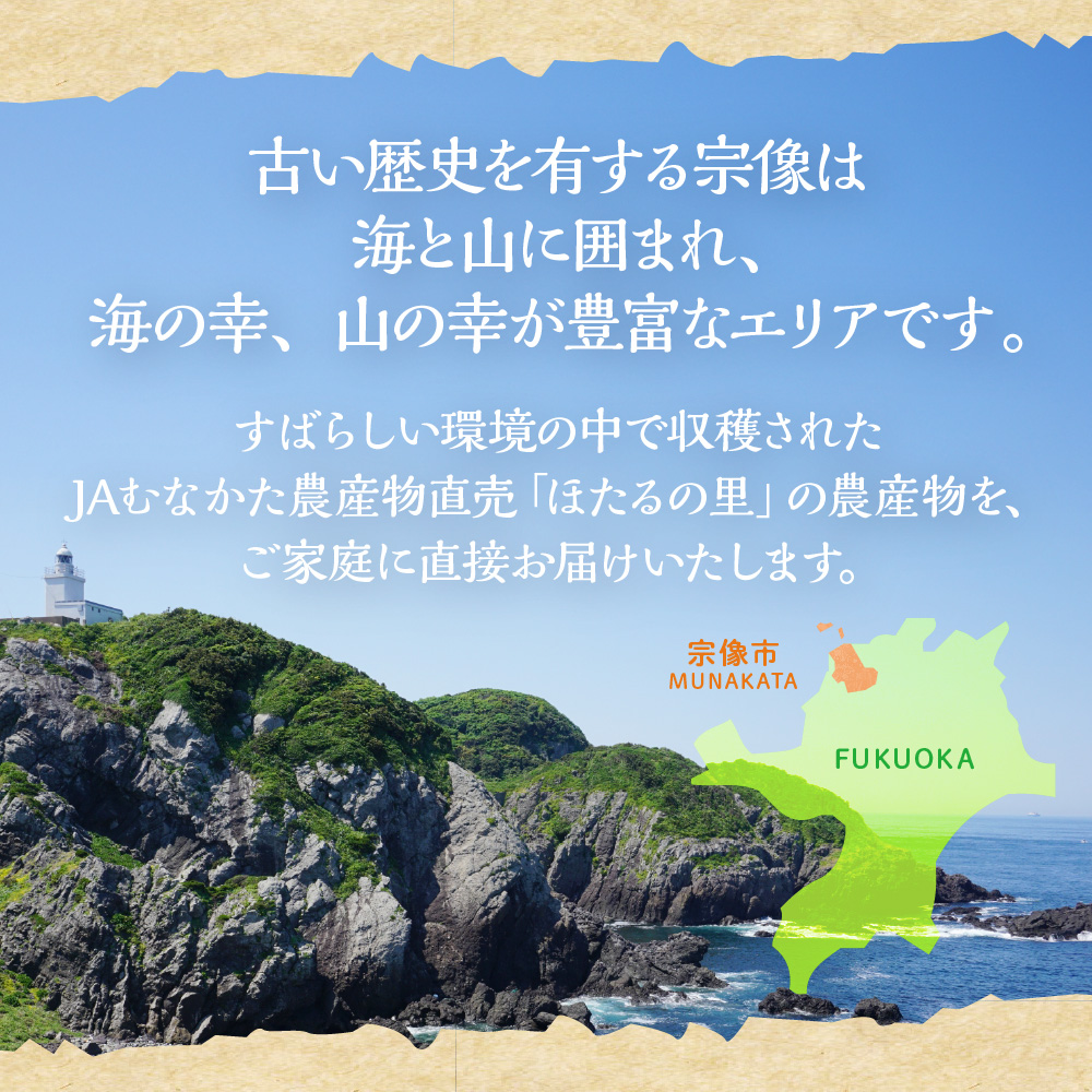 【定期便／年12回／毎月お届け】むなかた旬のお任せセット(野菜・フルーツ・お米／9～11品)【ほたるの里】_HB0029