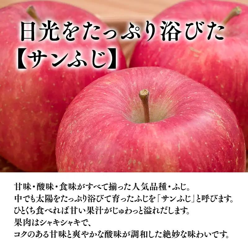 りんご サンふじ 家庭用 約5kg【hi-0059-007-3】