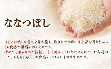 【3ヵ月連続定期便】北海道産 ななつぼし 精米 20kg 米 特A 獲得 白米 ごはん 定期便 定期配送 3ヵ月 道産米 ブランド米 20キロ お米 ご飯 米 北海道米 JAふらの ホクレン ホクレン