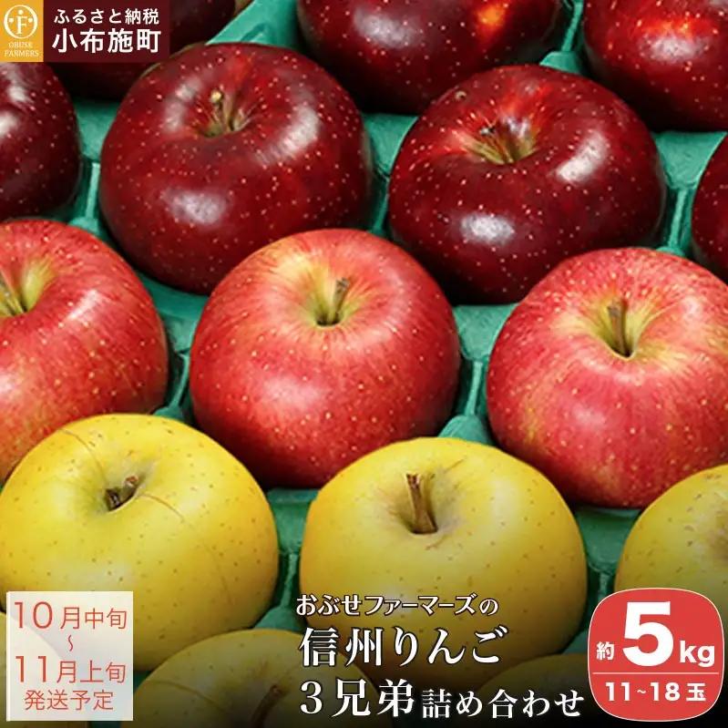  信州りんご3兄弟詰合せ 約5kg 11～18玉 ［おぶせファーマーズ］長野県産 令和8年産 【2026年10月中旬～11月上旬発送】 ［F-244］