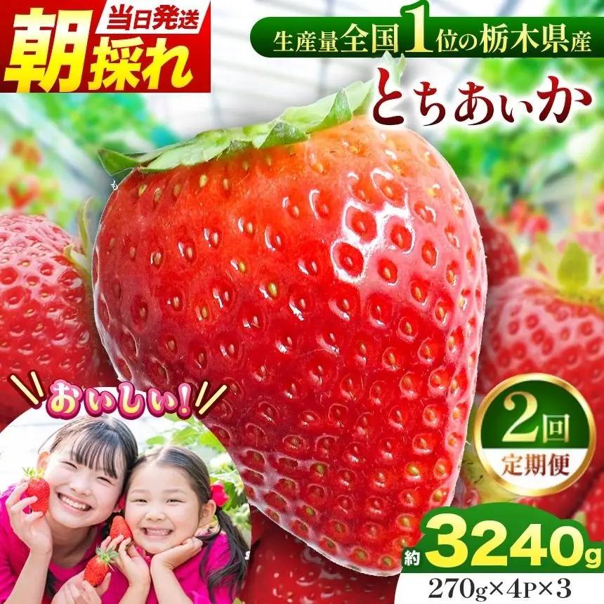 【定期便2回】那珂川町産とちあいか　朝採れ当日発送 270ｇ×4Ｐ×3