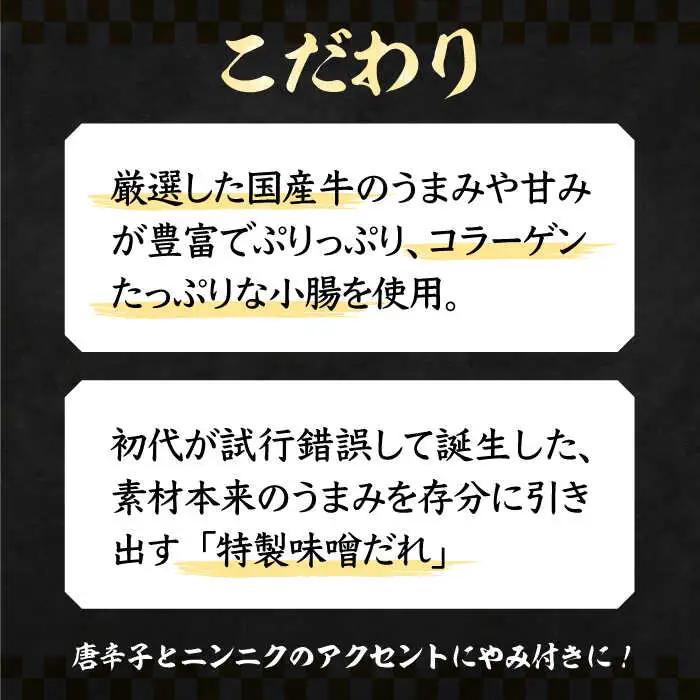 【全国放送】元祖味噌もつ鍋 平壌屋おすすめ 2-3人用 うどん VAH045 国産牛 もつ鍋 ホルモン
