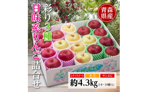 りんご/青森県産　彩り3種甘味系りんご詰合せ(高糖度)約4.3kg【1655321】