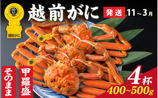 【先行予約】選べる！美味しさ直送【成前特選】 越前がに（400g～500g）×4杯【11月～3月発送】姿  [O-028067_06]