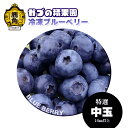 【特選・中玉】冷凍ブルーベリー1kg【かづの精果園】