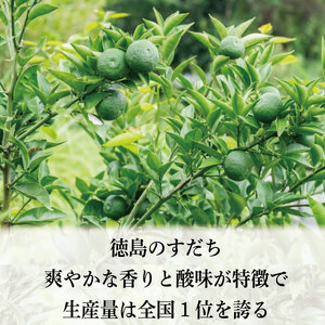 すだち 1kg 秀品 2026年9月発送 すだち