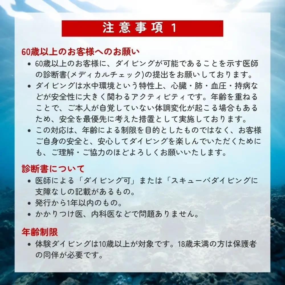  【ダイビング】ライセンス不要！感動の水中世界へ！サンマリン 体験ダイビング（2名様）【smr004】