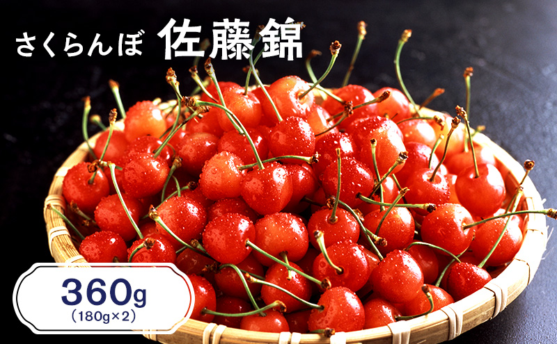 2027年発送 北海道 仁木町産 さくらんぼ 佐藤錦 360g（180g×2パック）  サクランボ チェリー フルーツ 果物 果物類  仁木町 仁木 [JA新おたる]