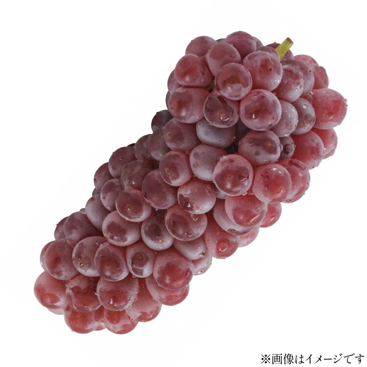 【ふるさと納税】【期間限定発送】 ぶどう デラウェア 5〜7房 約 1kg [tk06ayt400003 山形県 高畠町 いわた果樹園] 種無し ブドウ 葡萄 くだもの 果物 フルーツ 産地直送 農家直送