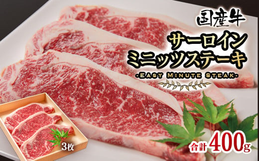 
国産牛サーロインミニッツステーキ3枚 計400g 牛肉 サーロインステーキ＜1.2-63＞
