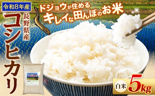 【令和8年産先行予約】≪どじょうのいる田んぼのお米≫ コシヒカリ 信州安曇野松川村産｜白米 5kg 有機肥料 低農薬 自然栽培 安曇野米 ごはん ライス 長野県 松川村 送料無料 国産米 産地直送 農家直送 新米対応