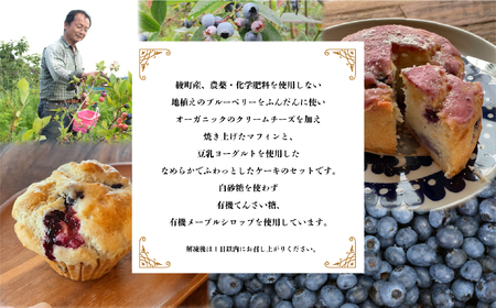91-01_綾町産無農薬ブルーベリーとオーガニッククリームチーズのマフィン＆ブルーベリーのソイヨーグルトケーキセット
