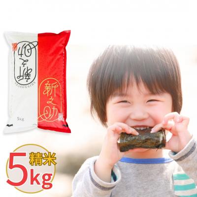 ふるさと納税 三条市 新潟県産 新之助 5kg しんのすけ 令和7年産 [株式会社白熊]【010S370】