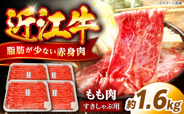 
                  すき焼き 近江牛 すきやき しゃぶしゃぶ 1.6kg （ 牛肉 モモ ブランド牛 和牛 国産牛 すき焼き すきやき すきやき肉 すき焼き用 すきやき用 赤身 牛肉 薄切り うす切り すき焼き 冷凍 人気 おすすめすき焼き） 滋賀県長浜市/有限会社旭ミイト [AQDB004]
                
