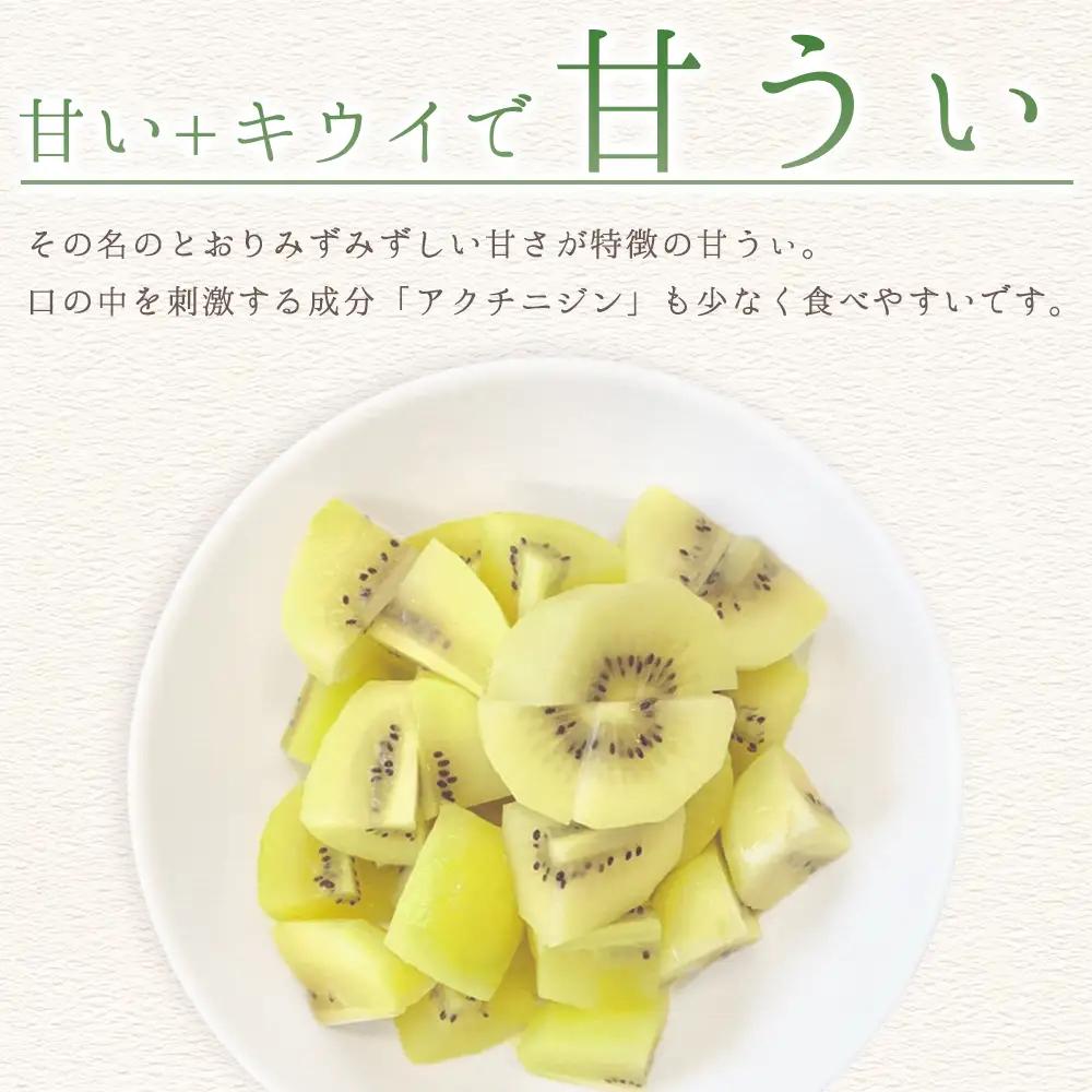 福岡県産 キウイ 甘うぃ 約1.4kg (9玉)  キウイ キウイフルーツ  kiwi 果物 フルーツ 送料無料 3W25