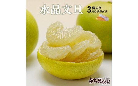 【先行予約】水晶文旦 Lサイズ 約1.2kg（3個入り）柑橘皮むき器付き 高知県土佐市 【株式会社SHIRAKI】 [BQAI015]