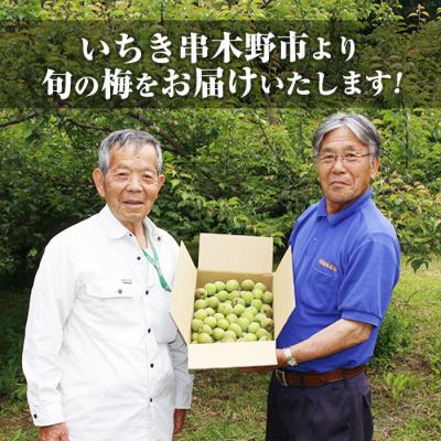 ふるさと納税 いちき串木野市 先行受付<数量・期間限定>朝日梅園の南高梅(生梅)10kg 箱 バラ詰め満杯 |  | 03