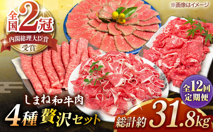 【全12回定期便】その旨味、最上級！「しまね和牛肉」4種贅沢セット島根県松江市/有限会社おき精肉店 [ALFT087]　