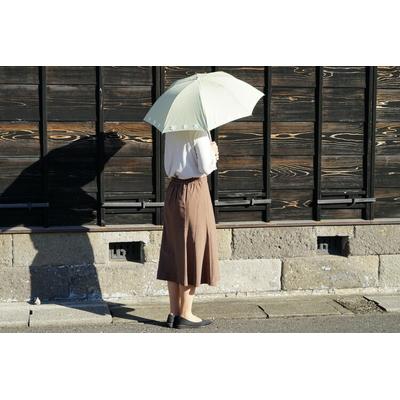 ふるさと納税 古河市 雪華模様の刺繍入り日傘(晴雨兼用・サイズ50cm・UV加工・麻50%綿50%)薄緑 _BL23 |  | 01