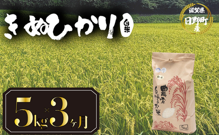 【先行予約】令和8年産 新米 きぬひかり 5kg 定期便 3ヶ月 白米 米 