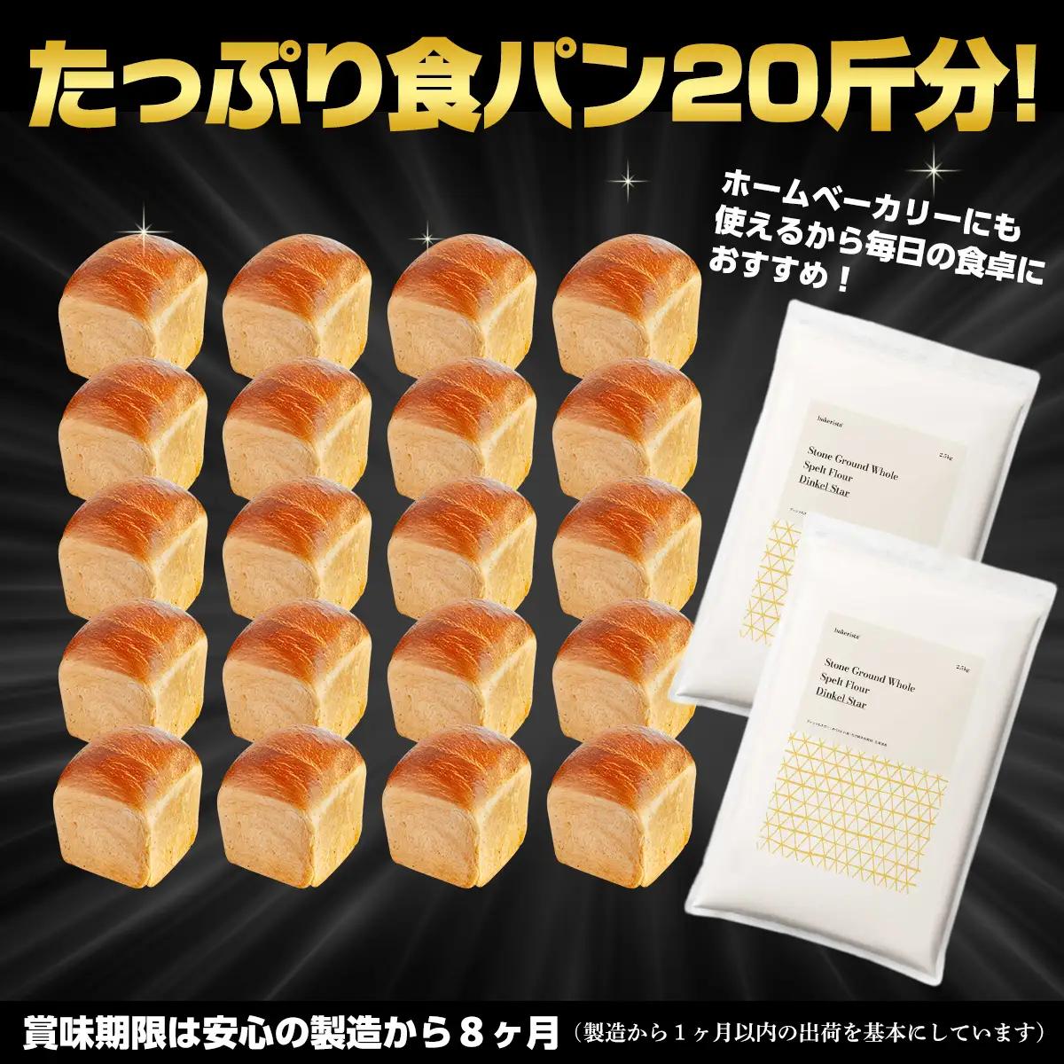 【毎月定期便】北海道産  小麦粉「春よ恋」「ゆめちから」ブレンド小麦粉 パウダースノー（パン用強力粉）5kg 全4回 MROBI044