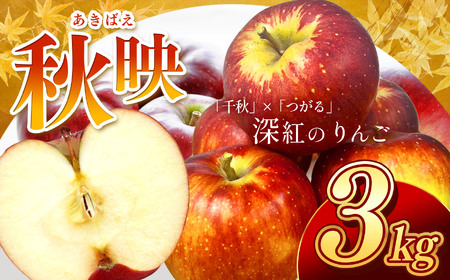 芳醇な香り 長野県産 深紅色 りんご 秋映 約3kg 秀品 〈2026年9月下旬～10月中旬発送〉| 長野県 飯田市