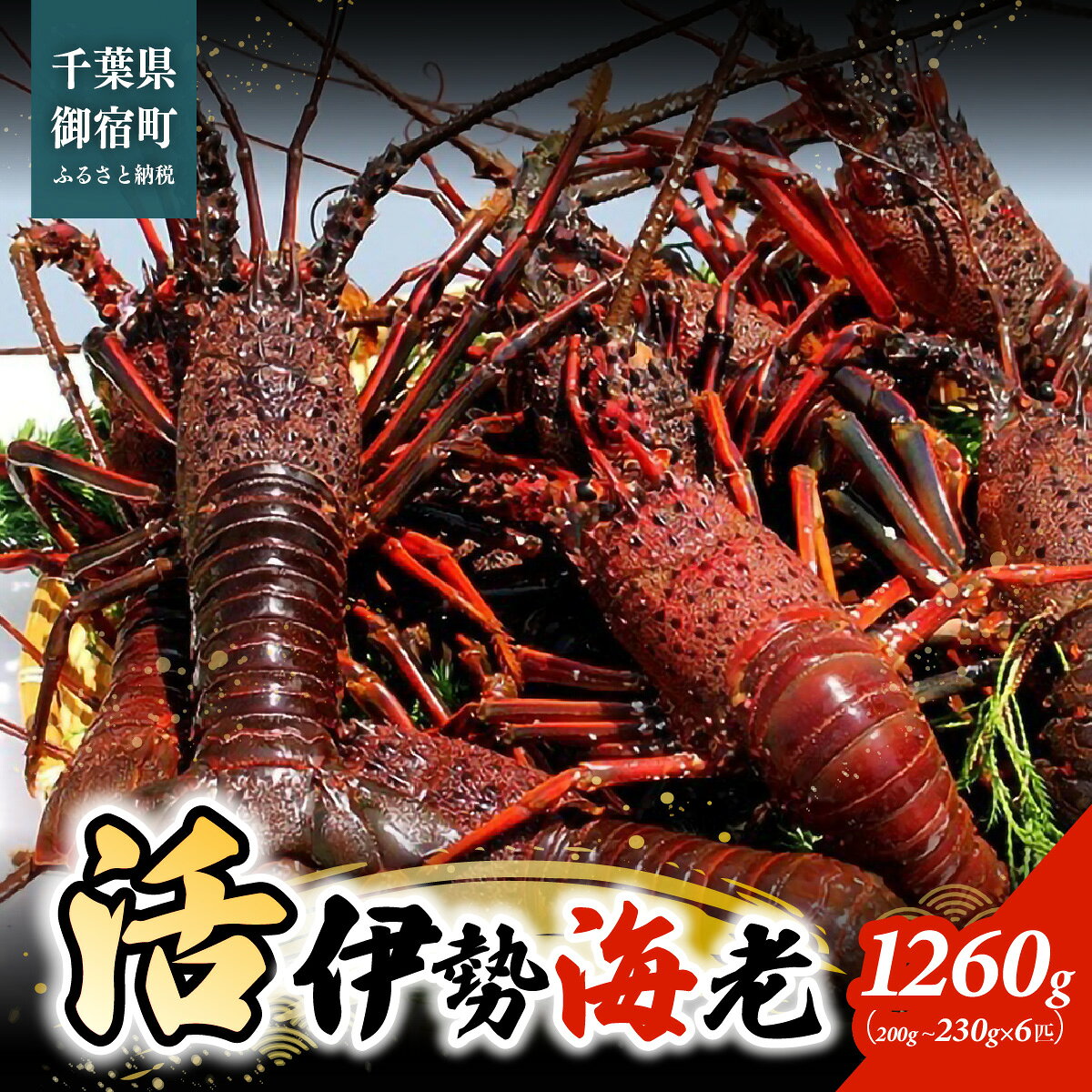 【ふるさと納税】活伊勢海老1260g（200～230g×6匹） ONJB032