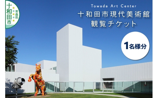十和田市現代美術館観覧チケット（1名様分）青森県十和田市 ＜レターパックプラス＞ [アート 芸術 鑑賞]