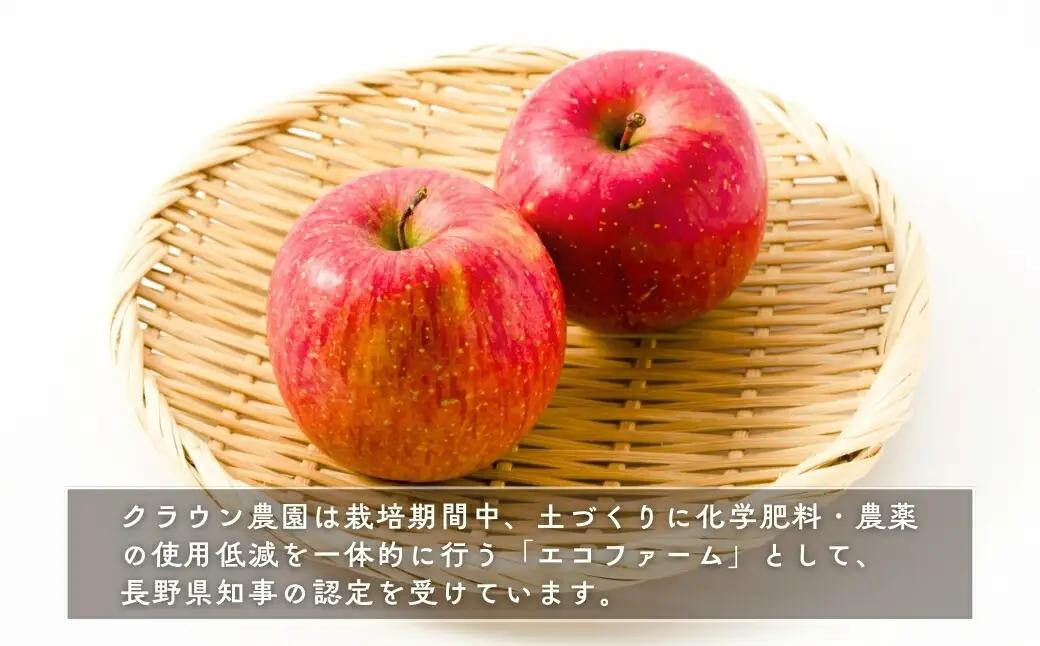 【2026年先行予約】りんご 園主におまかせ 詰合せ 計約3kg（8~11玉）りんごの宝石箱 | 長野県 千曲市