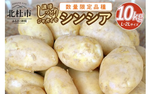 【数量限定品種】濃厚しっとり食感　ジャガイモ　シンシア　10kg　数量限定 じゃがいも 希少品種 濃厚 しっとり食感 ねっとり ほくほく 野菜 根菜 北杜市 明野町産