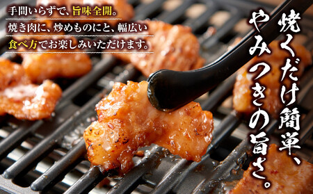 ＜訳アリ＞和牛ホルモン（大腸）　特製味噌漬け　1.8kg(300g×6）【2026年11月発送】