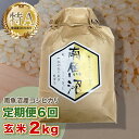 【ふるさと納税】【6ヶ月定期便】令和6年産 「越後湯沢産」玄米 2kg×6回【湯沢産コシヒカリ】南魚沼産 こしひかり 【特A】