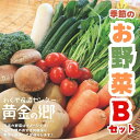 【ふるさと納税】黄金の郷　季節のお野菜お楽しみBセット ◇｜ 野菜・セット・詰合せ・野菜・きのこ ※配送不可地域あり