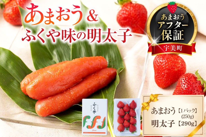 
                  いちご 明太子 セット 福岡産あまおう 1パック 250g ふくや 味の明太子 290g 【期間限定発送】 [南国フルーツ 福岡県 宇美町 um40azo970037] 詰め合わせ 先行予約 あまおう イチゴ 苺 フルーツ 果物 果実 甘い あまい ふくや 辛子明太子 めんたいこ
                